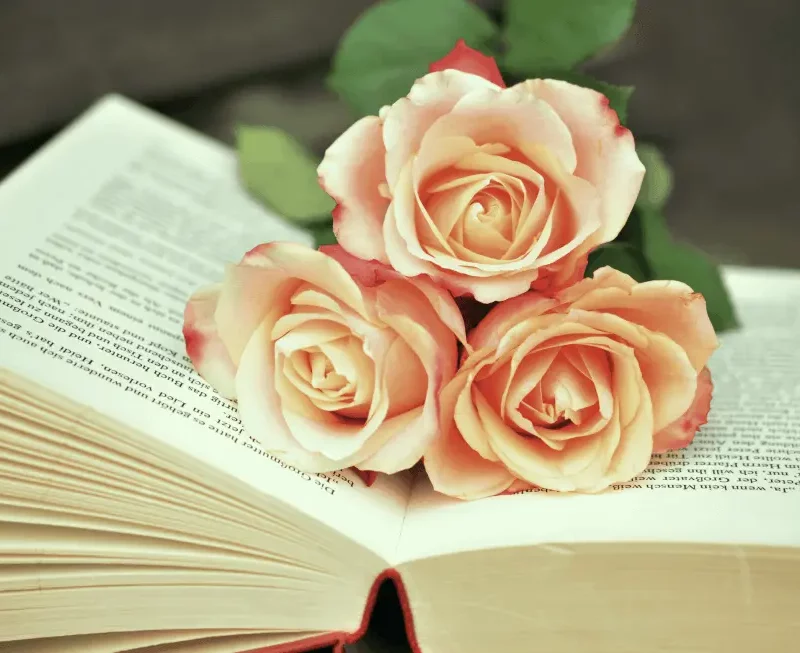 Sant Jordi's Day: Catalan tradition celebrating love and literature